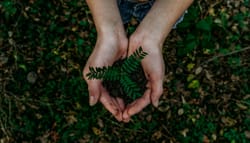 hands holding leaf and soil